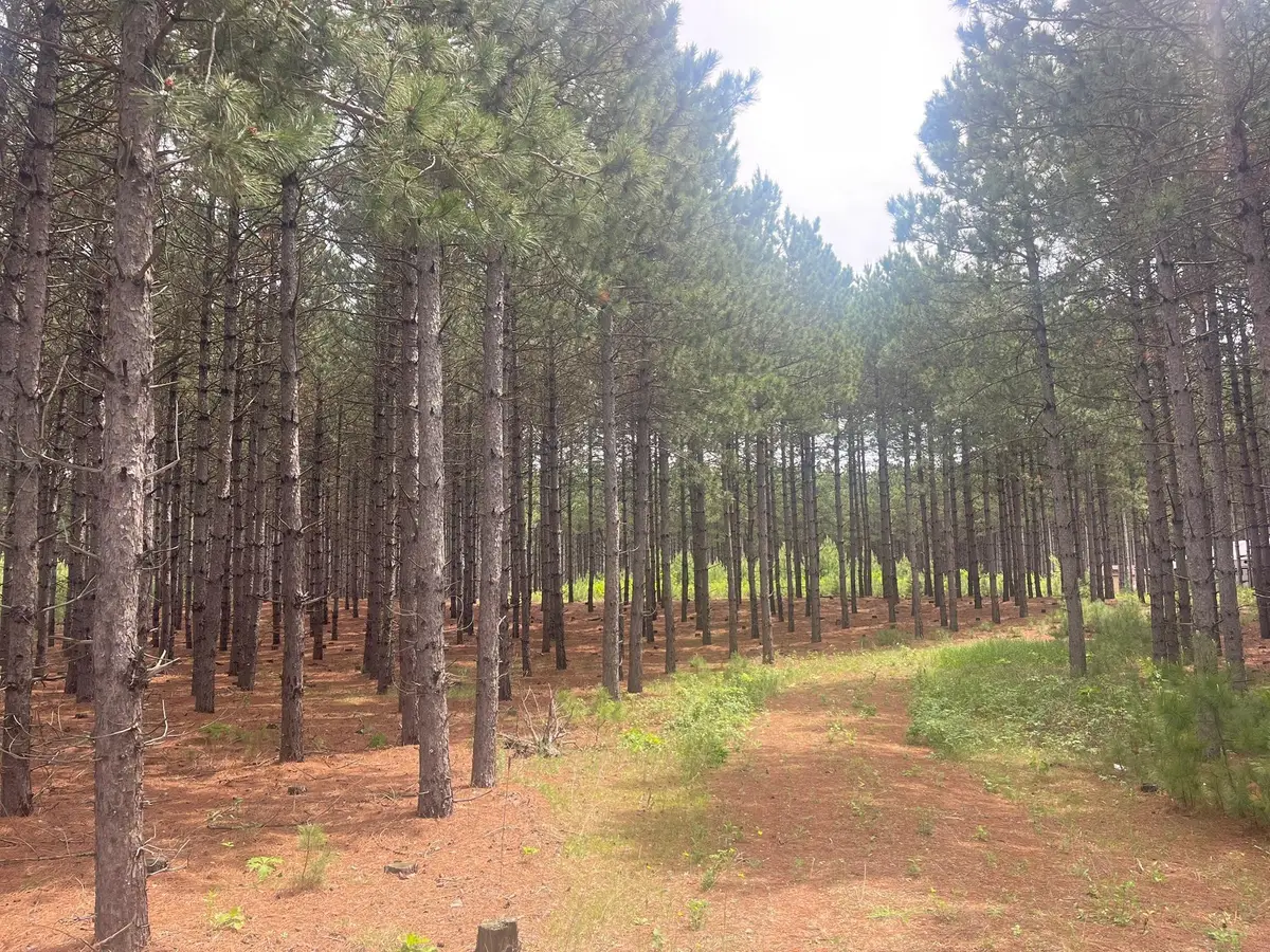 TBD2 County 2, Nevis, MN 56467 - #1