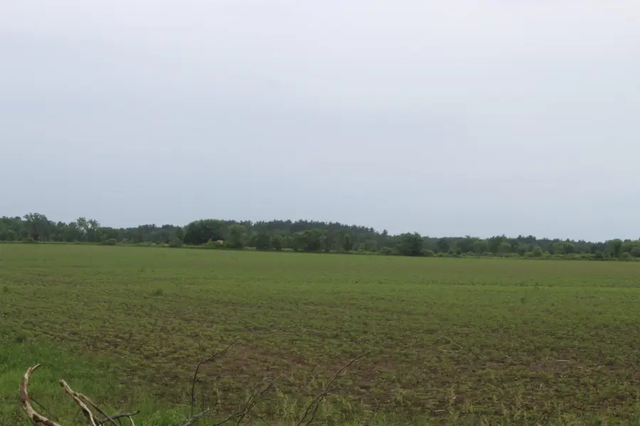 1021 120th Avenue, Ogilvie, MN 56358 - #2