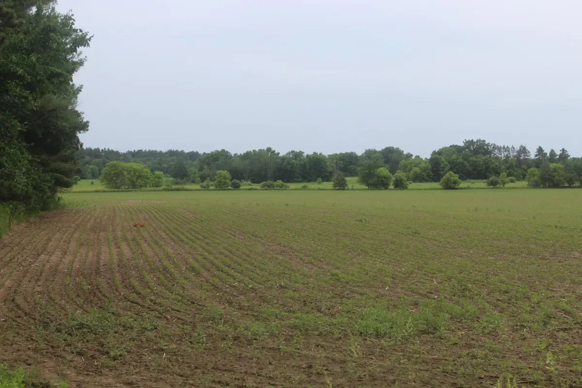 TBD-2 120th Avenue, Ogilvie, MN 56358 - #1