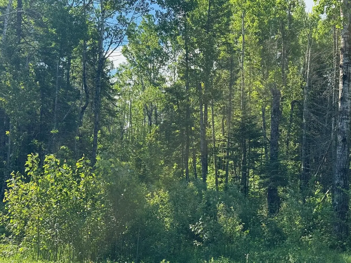 1576 County Road 8, Holyoke, MN 55749 - #1