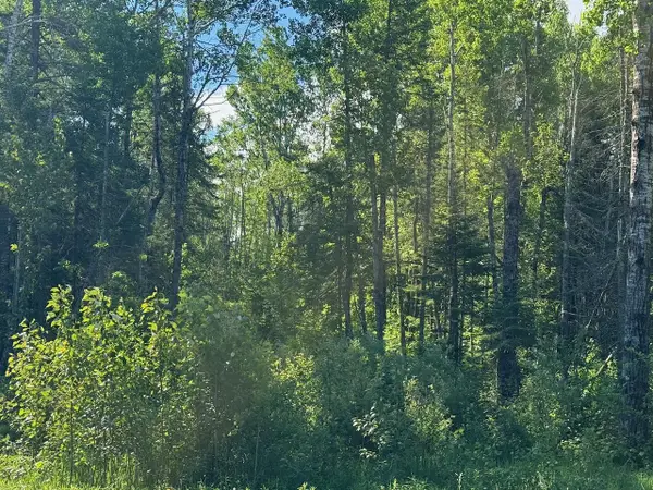 1576 County Road 8, Holyoke, MN 55749
