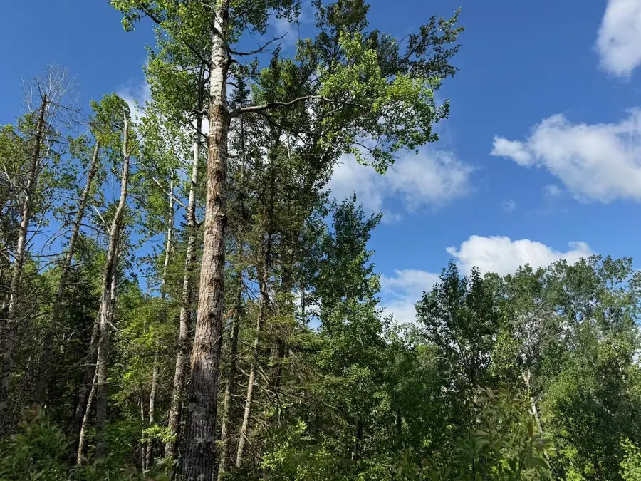 1576 County Road 8, Holyoke, MN 55749 - #2
