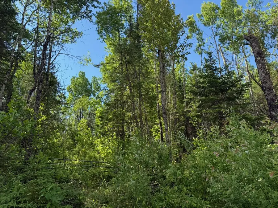 1576 County Road 8, Holyoke, MN 55749 - #3