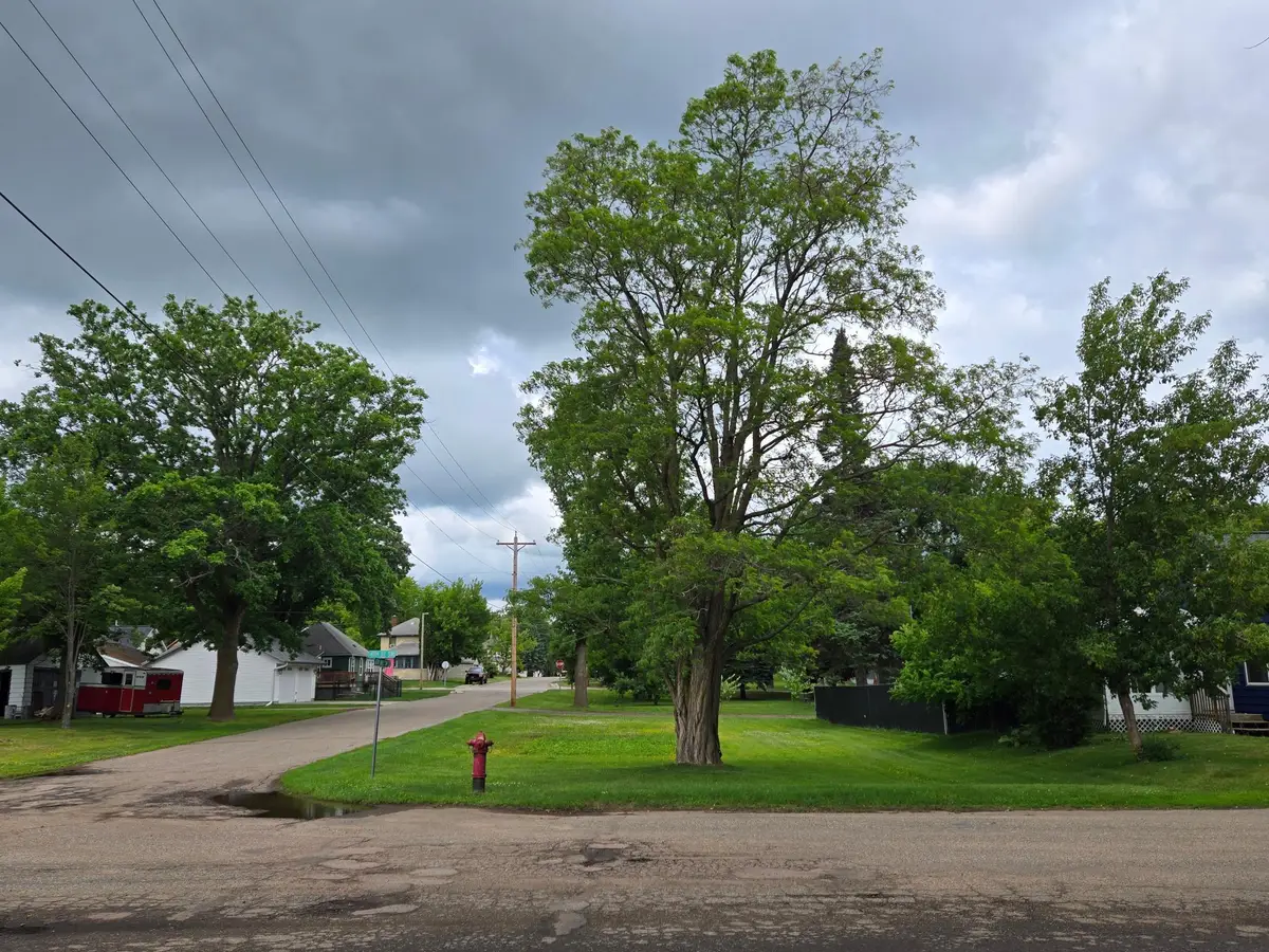 TBD 6th Ave Sw, Crosby, MN 56441 - #1
