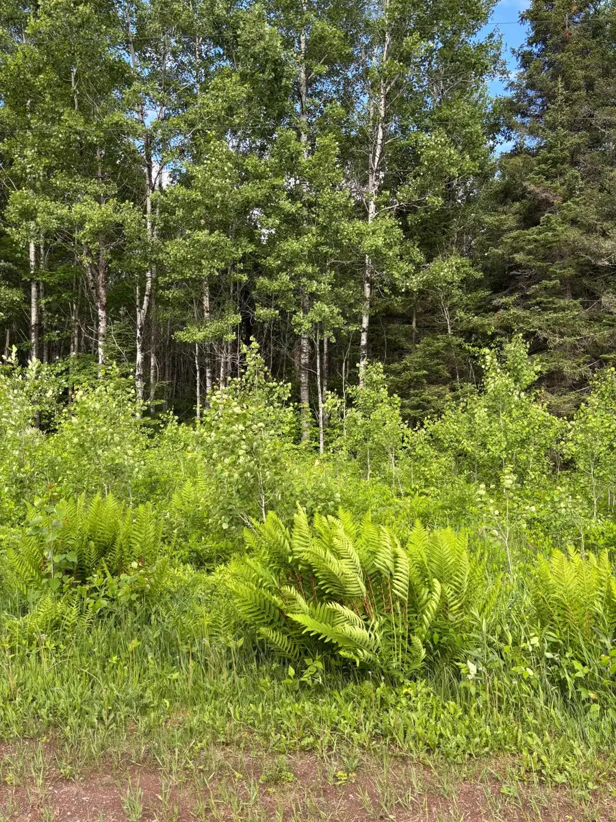 XXX Town Line Road, Brimson, MN 55602 - #2