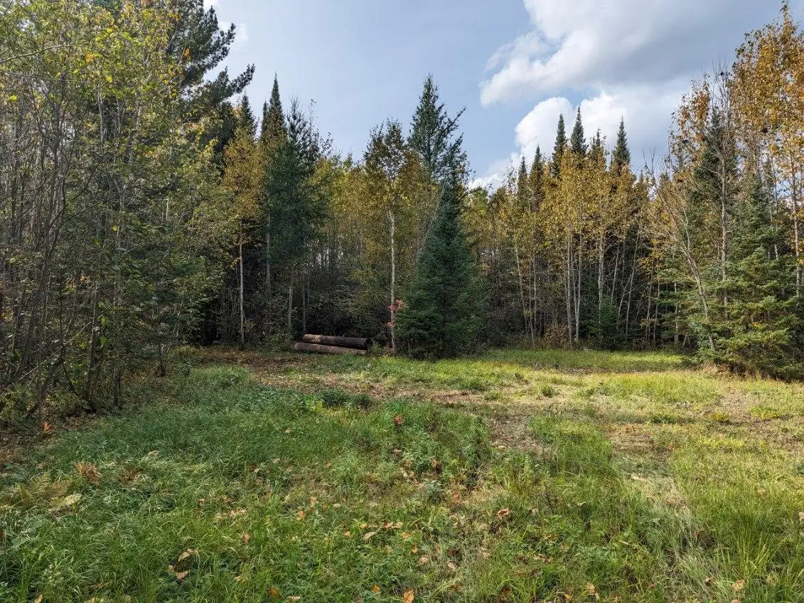 TBD Deer River Line, Littlefork, MN 56653 - #1