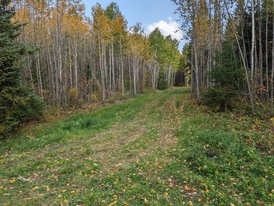 TBD Deer River Line, Littlefork, MN 56653 - #2