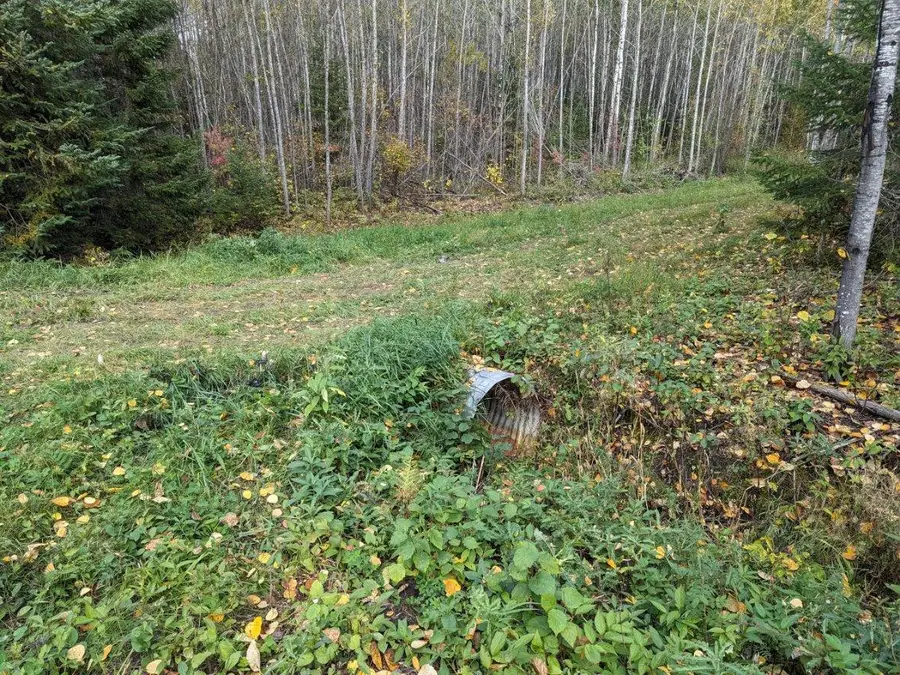 TBD Deer River Line, Littlefork, MN 56653 - #3