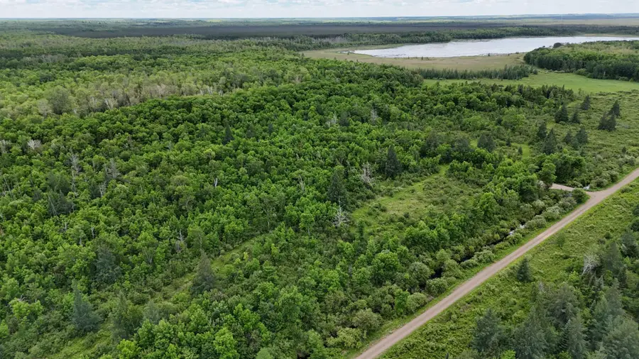 11840 Rice Haven Road, Floodwood, MN 55736 - #2