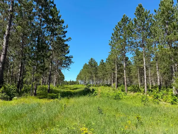10998 Grange Road Nw, Bemidji, MN 56601