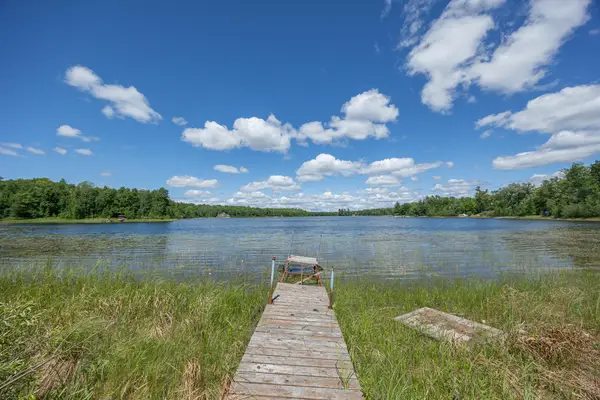 TBD State Hwy 84, Longville, MN 56655
