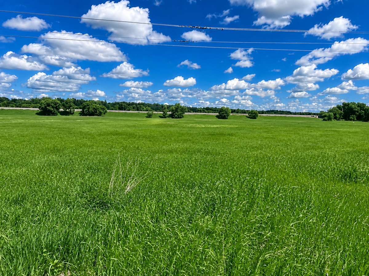 tbd Hwy 77, Wadena, MN 56482 - #1