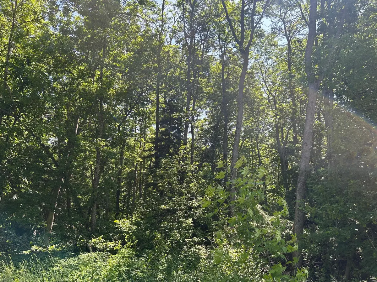 TBD Town Rd 7, Northome, MN 56661 - #1