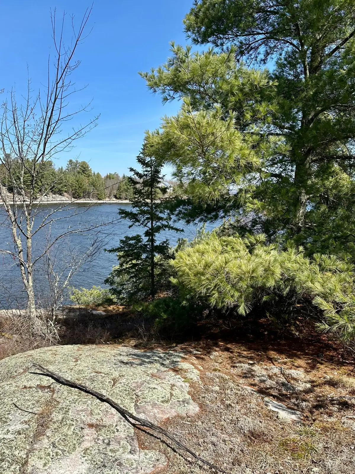 TBD Kabetogama Lake W, Kabetogama, MN 56669 - #1
