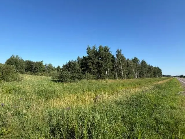 11617 70th Avenue, Milaca, MN 56353 - #3