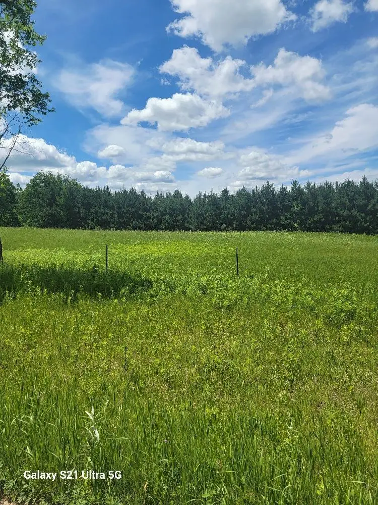 TBD 145th, Eagle Bend, MN 56446 - #1