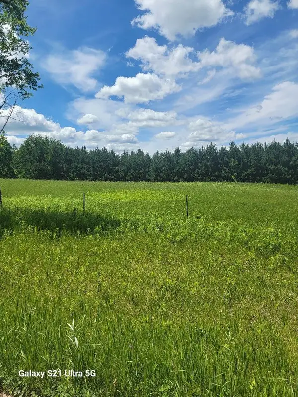 TBD 145th, Eagle Bend, MN 56446