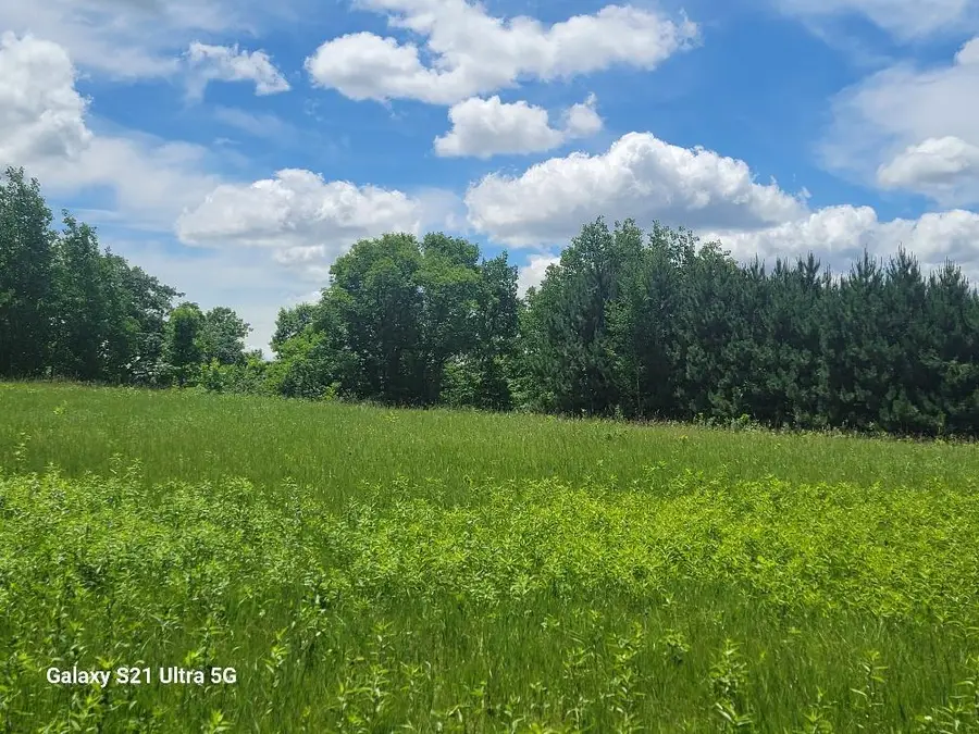 TBD 145th, Eagle Bend, MN 56446 - #2