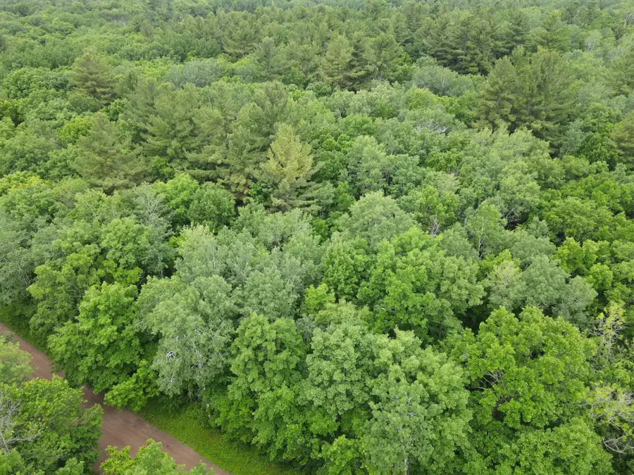 LOT 2 Wilderness Retreat, Pine City, MN 55063 - #2