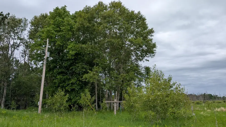10211 Leander Road, Angora, MN 55703 - #2
