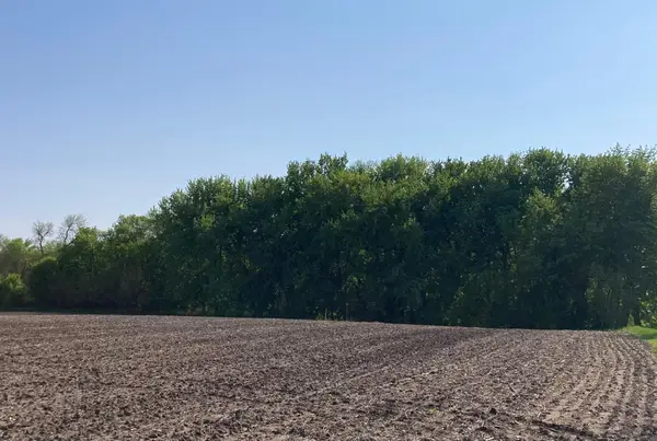 Lot 6&7 Mckinney Dr, Windom, MN 56101