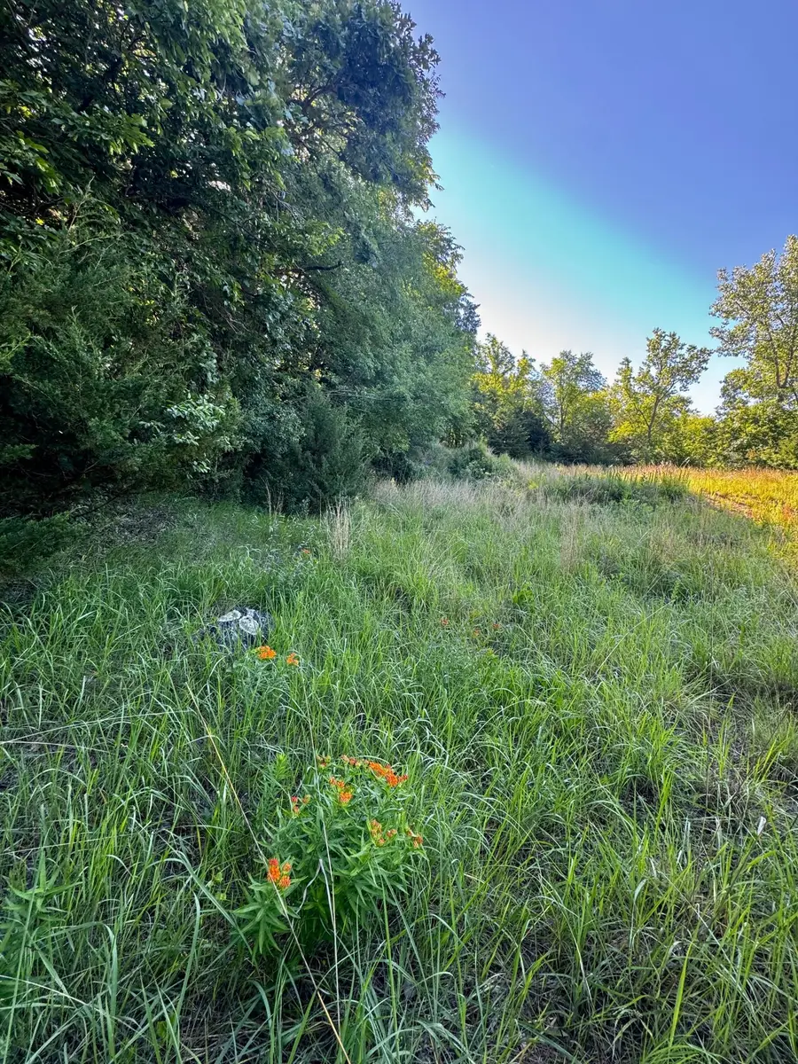 TBD County Road 51, Franklin, MN 55333 - #3