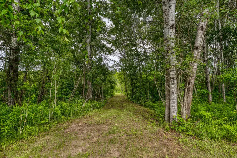 39332 Orchid Trail, Hendrickson, MN 56461 - #3