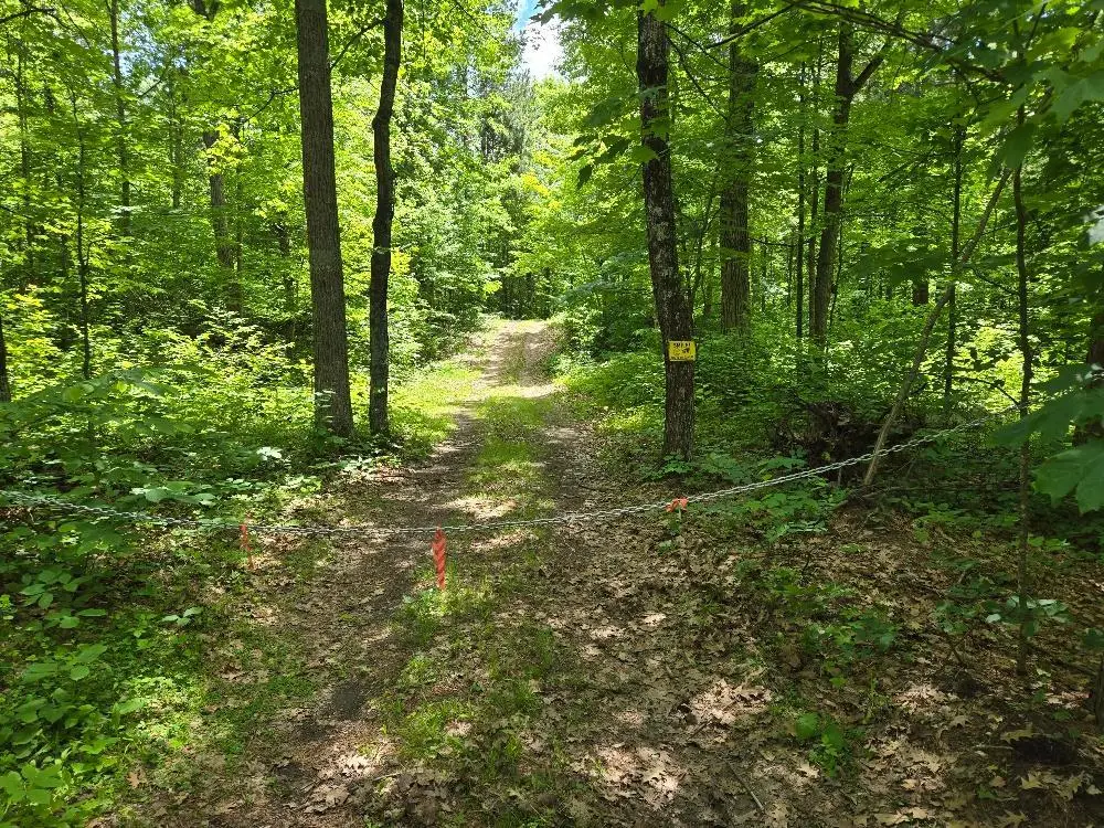 TBD Fs2564d, Remer, MN 56672 - #1
