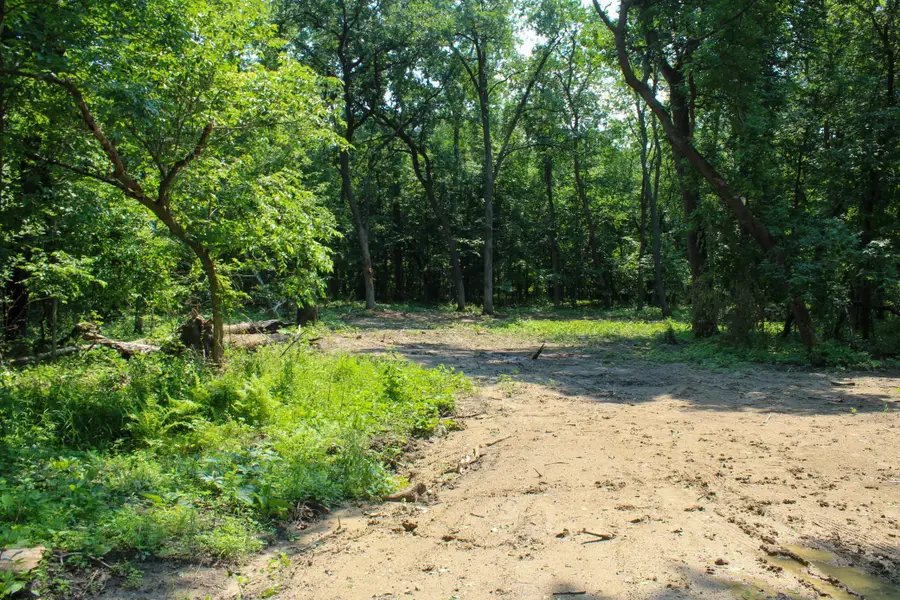 0000 Fourth Avenue E, South Haven, MN 55382 - #2
