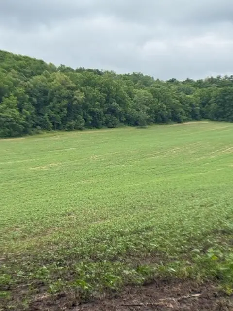 TBD Back Valley Road, Pepin, WI 54759 - #1