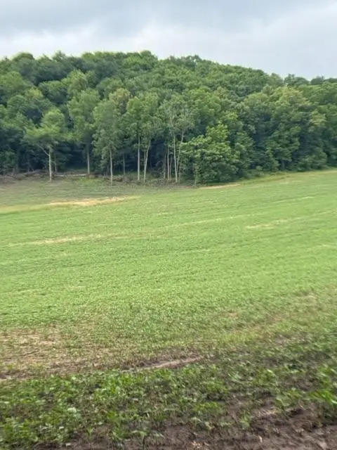 TBD Back Valley Road, Pepin, WI 54759 - #2