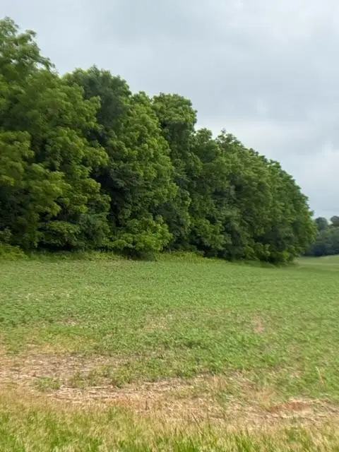 TBD Back Valley Road, Pepin, WI 54759 - #3
