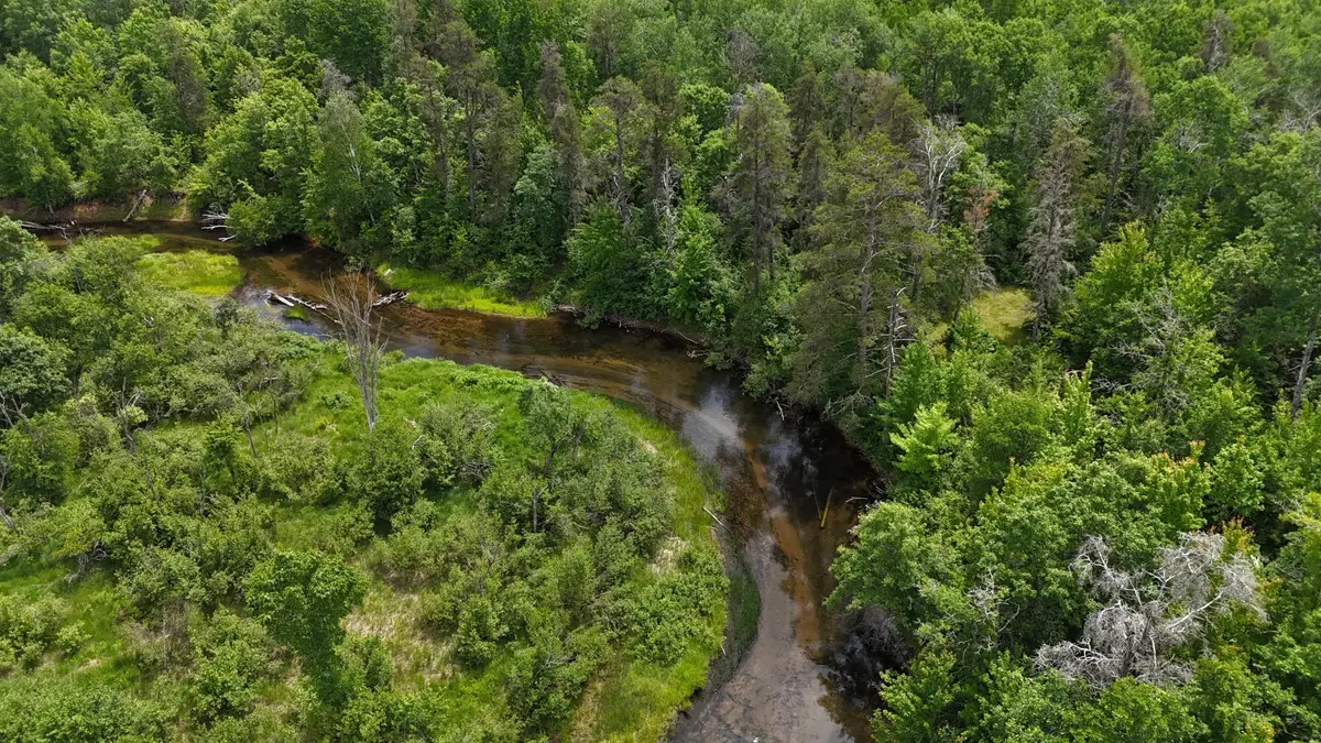 TBD E Mail Road, Gordon, WI 54838 - #1