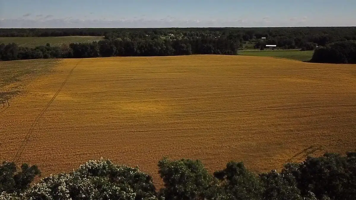 Lot 1 Block 1 87th Street Se, Becker, MN 55308 - #1