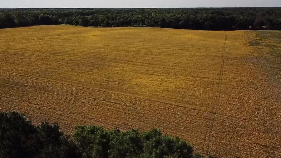 Lot 1 Block 1 87th Street Se, Becker, MN 55308 - #2