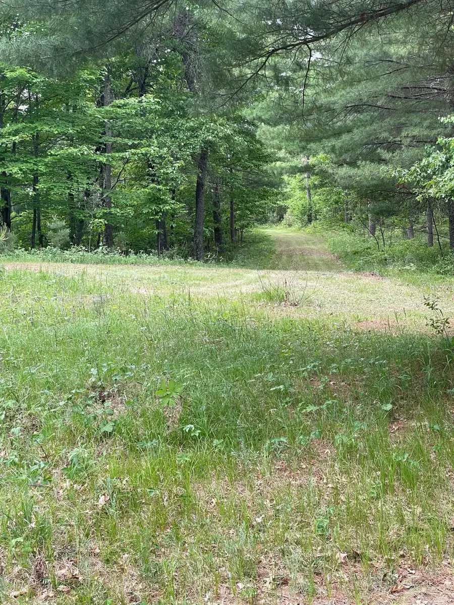Lot 4 Big Bear Court, Danbury, WI 54830 - #2