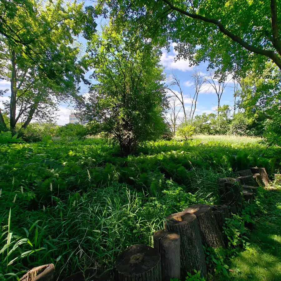 18 Westwood Circle, Hopkins, MN 55305 - #2