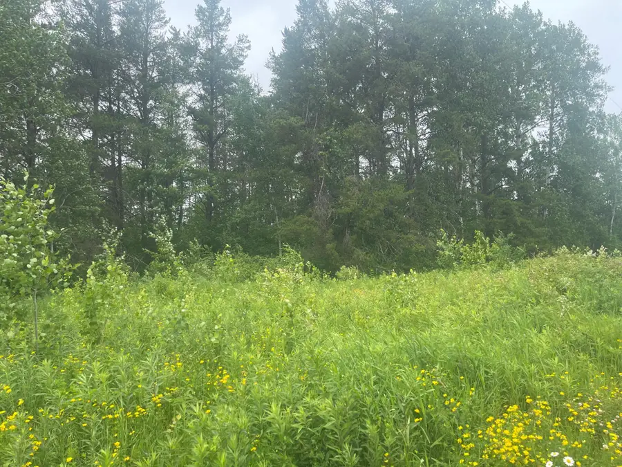 TBD Degerstrom Road, Askov, MN 55704 - #3