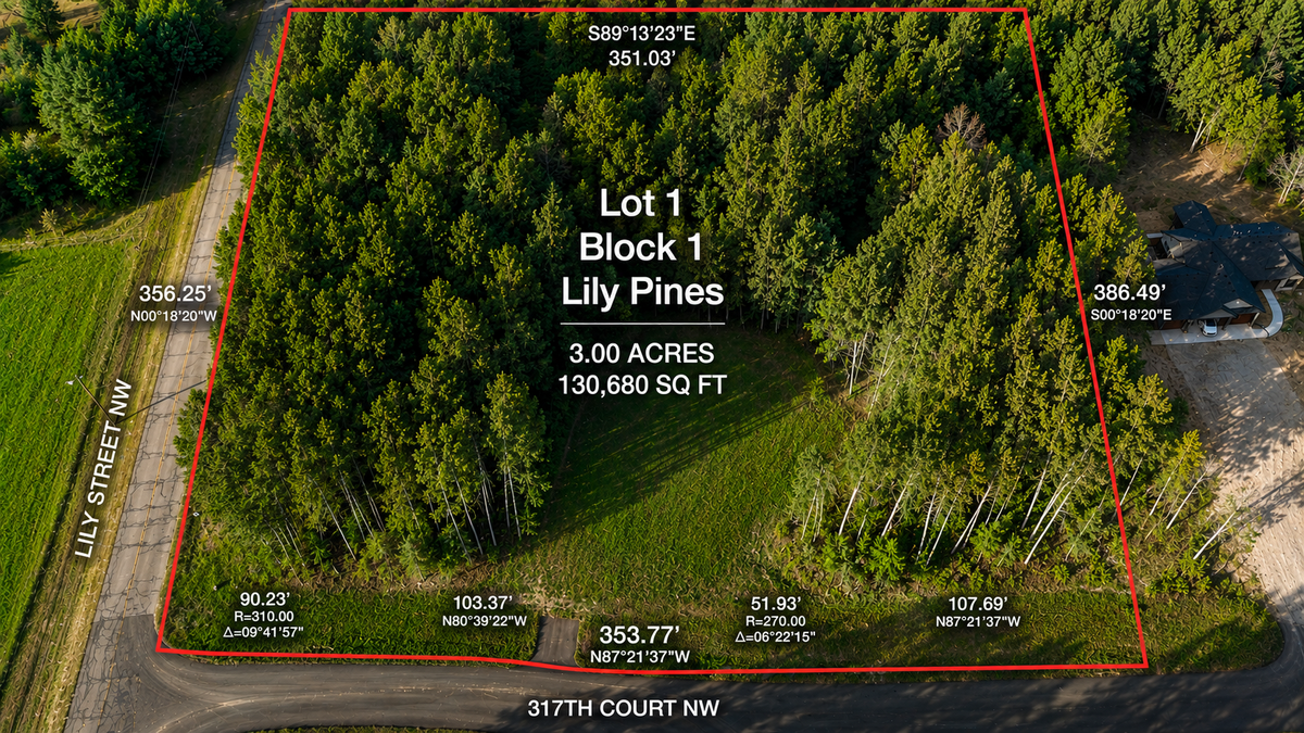 3181 317th Court Nw, Cambridge, MN 55008 - #1