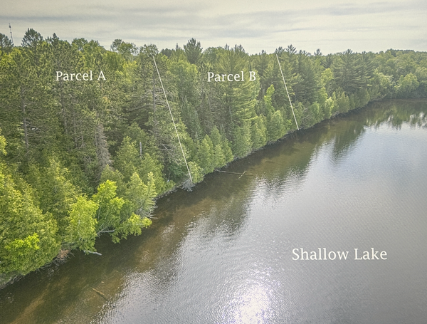 TBD (Parcel B) North Shallow Lake, Warba, MN 55793