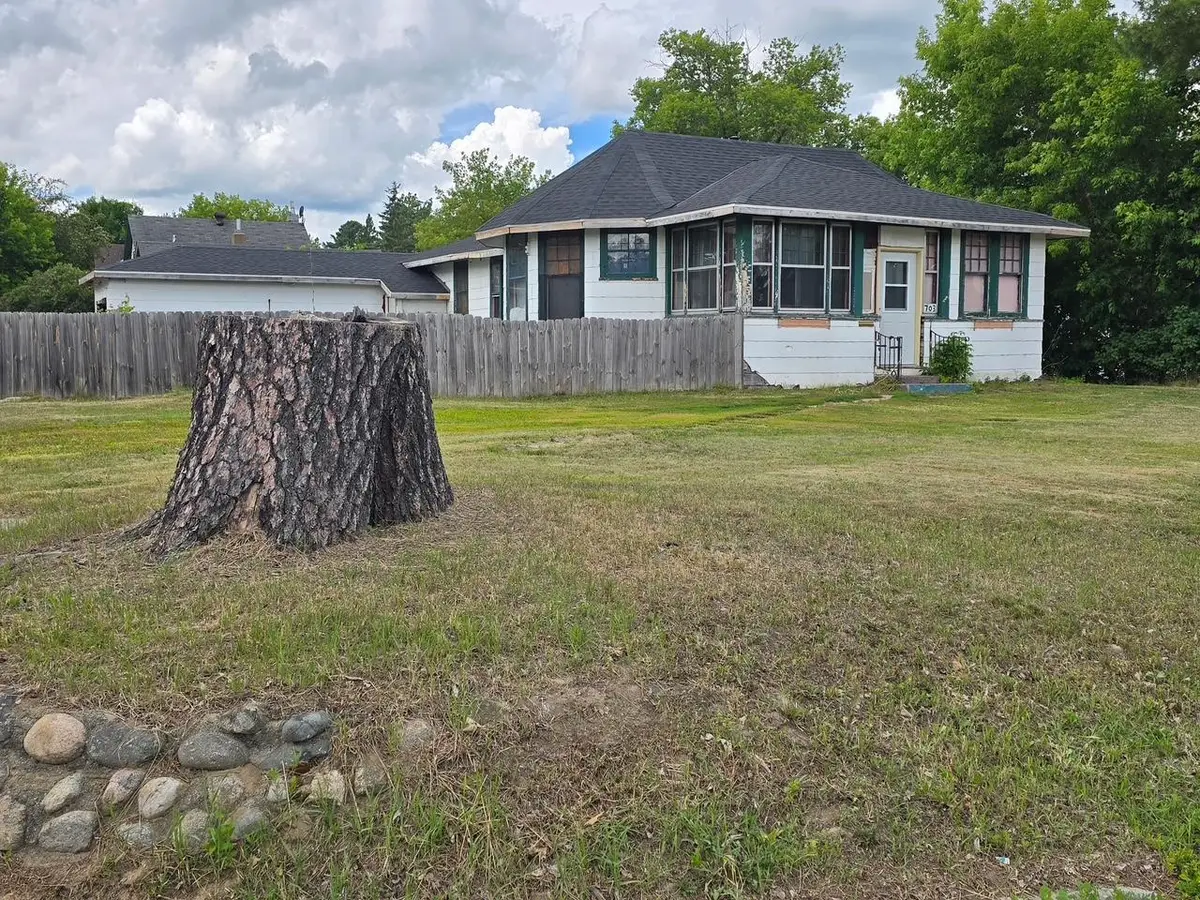 703 NW 3rd Avenue, Grand Rapids, MN 55744 - #1