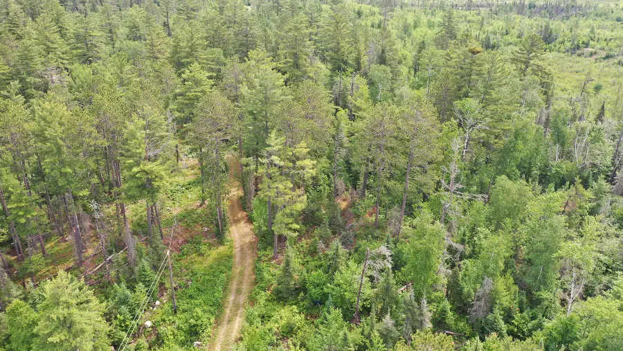 1648 Golden Ridge Trail, Ely, MN 55731 - #2