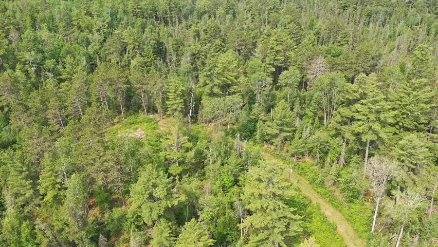 1648 Golden Ridge Trail, Ely, MN 55731 - #3