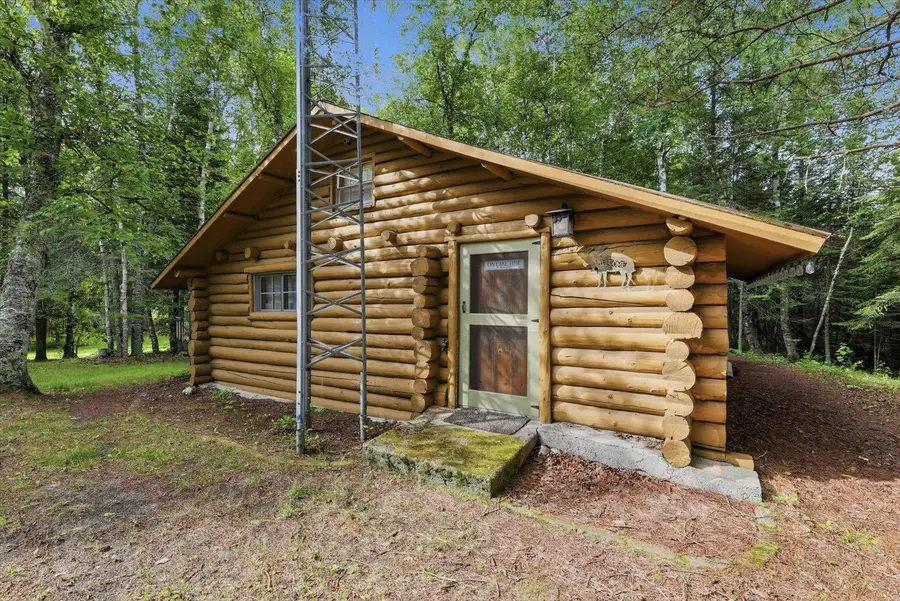 64995 S Fishermans Trail, Effie, MN 56639 - #3