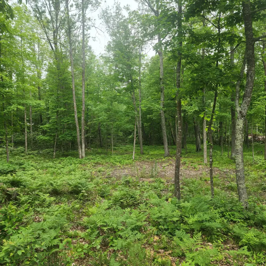 TBD 186th Ave, McGregor, MN 55760 - #2