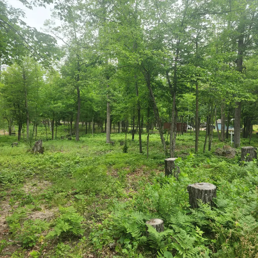TBD 186th Ave, McGregor, MN 55760 - #3
