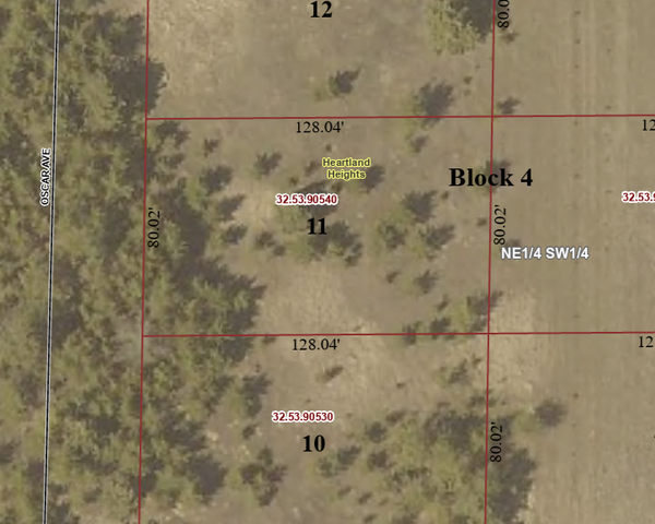 TBD Lot 11 Oscar Ave, Park Rapids, MN 56470