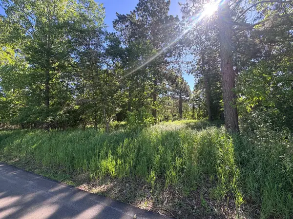 TBD Franklin Avenue, Park Rapids, MN 56470