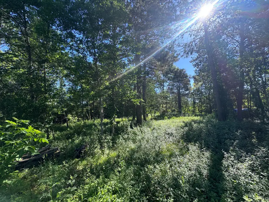 TBD Franklin Avenue, Park Rapids, MN 56470 - #3