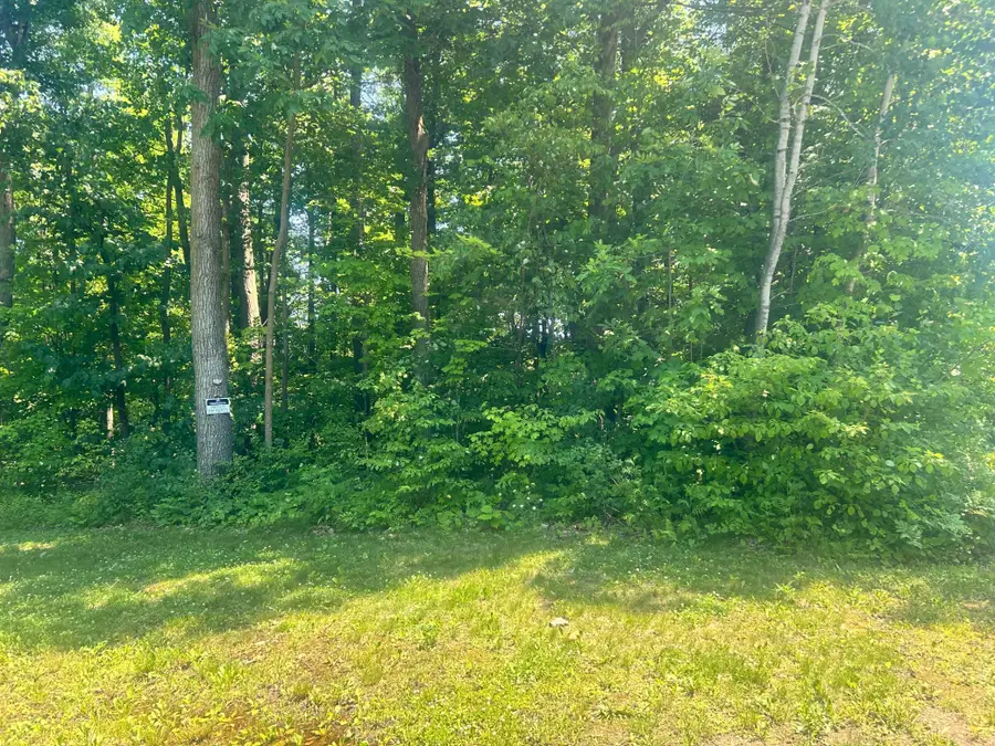 6966 Lake Camile Drive, Randall, MN 56475 - #2